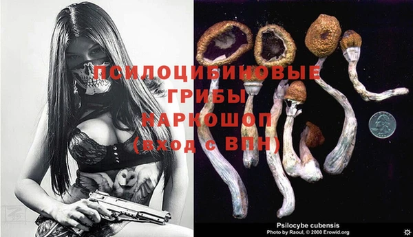 эйфоретик Заводоуковск
