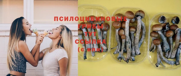 a pvp Заволжск