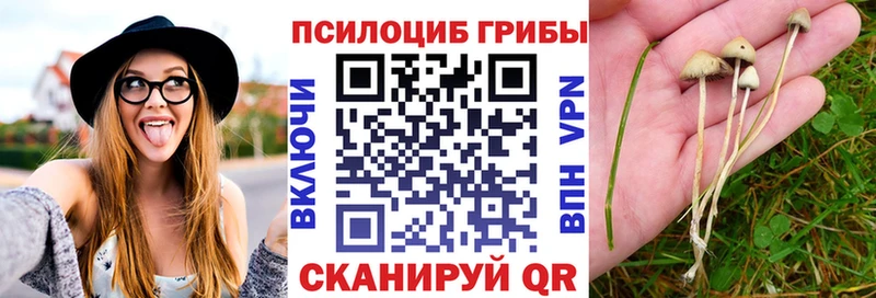 Галлюциногенные грибы Cubensis  как найти наркотики  Октябрьский 